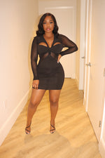 Sheer Panel Dress