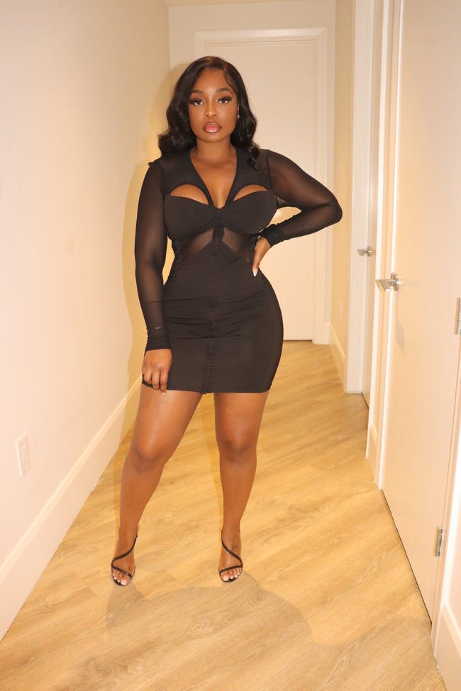 Sheer Panel Dress