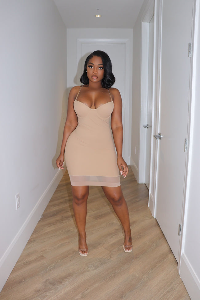Nude sculpt sheer dress